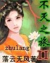 《不灭之旅2》