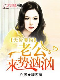 天价妻约:老公来势汹汹
