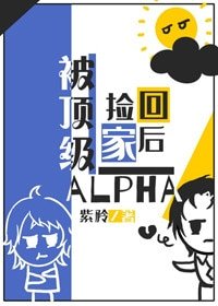 《被顶级alpha捡回家之后》