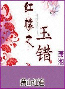 《(红楼同人)红楼之玉错》