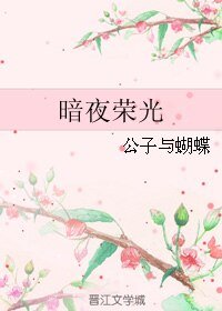 暗夜荣光