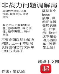《非战力问题调解局》