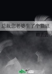 《总裁您老婆生了个猫崽》