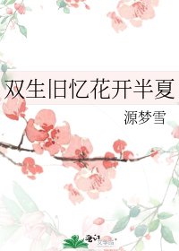 《双生旧忆花开半夏》