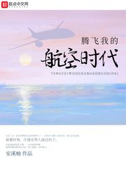 《腾飞我的航空时代》
