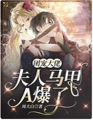 《团宠大佬,夫人马甲A爆了》