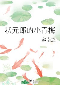 《狀元郎的小青梅/狀元郎的心尖寵》