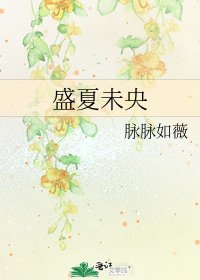 盛夏未央