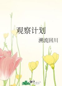 观察计划