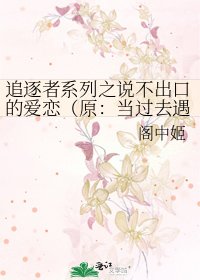 《追逐者系列之说不出口的爱恋(原:当过去遇见未来)》