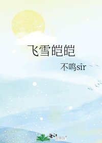 《飞雪皑皑》