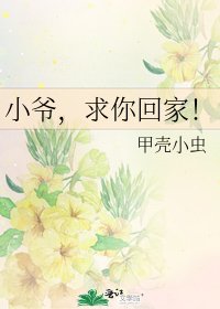 《小爺,求你回家!》