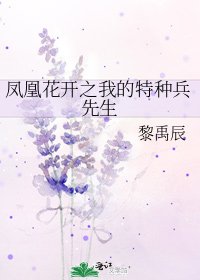 《鳳凰花開之我的特種兵先生》
