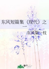 东风短篇集(现代)之一