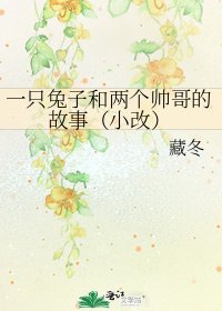 《一只兔子和两个帅哥的故事(小改)》