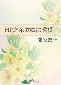 《HP之东欧魔法教授》