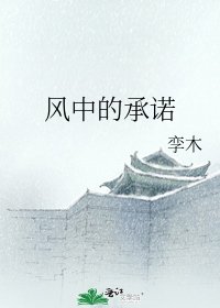 《风中的承诺》