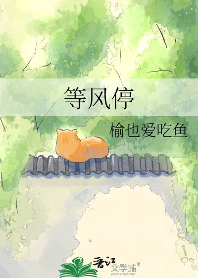 等风去